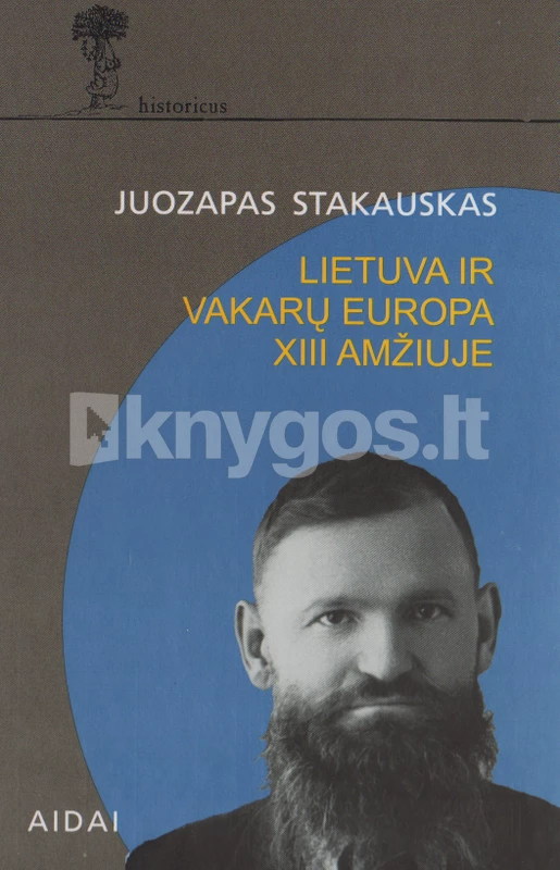 knyga lietuva ir vakarų europa
